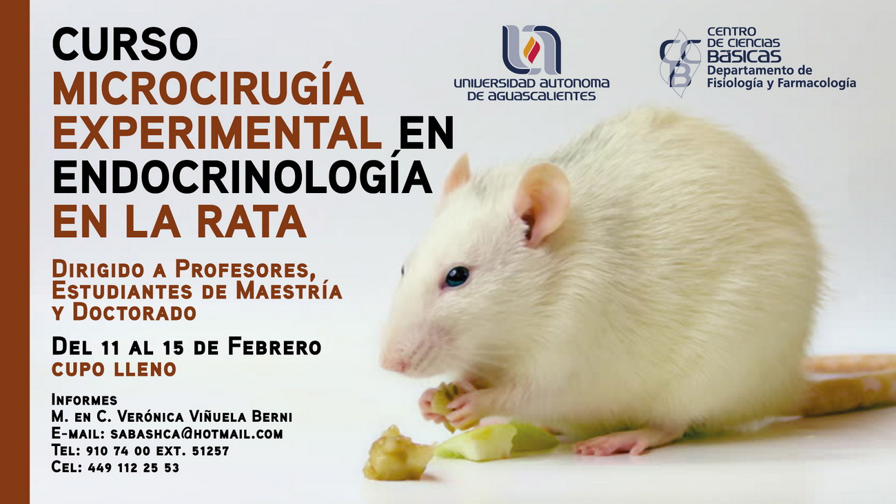 Cursos de Microcirugía Experimental en Endocrinología en la Rata