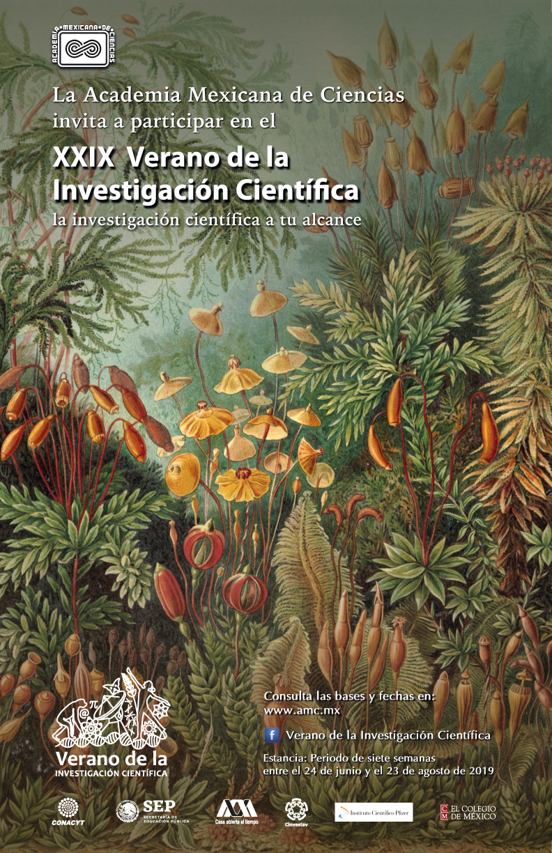 XXIX Verano de la Investigación Científica