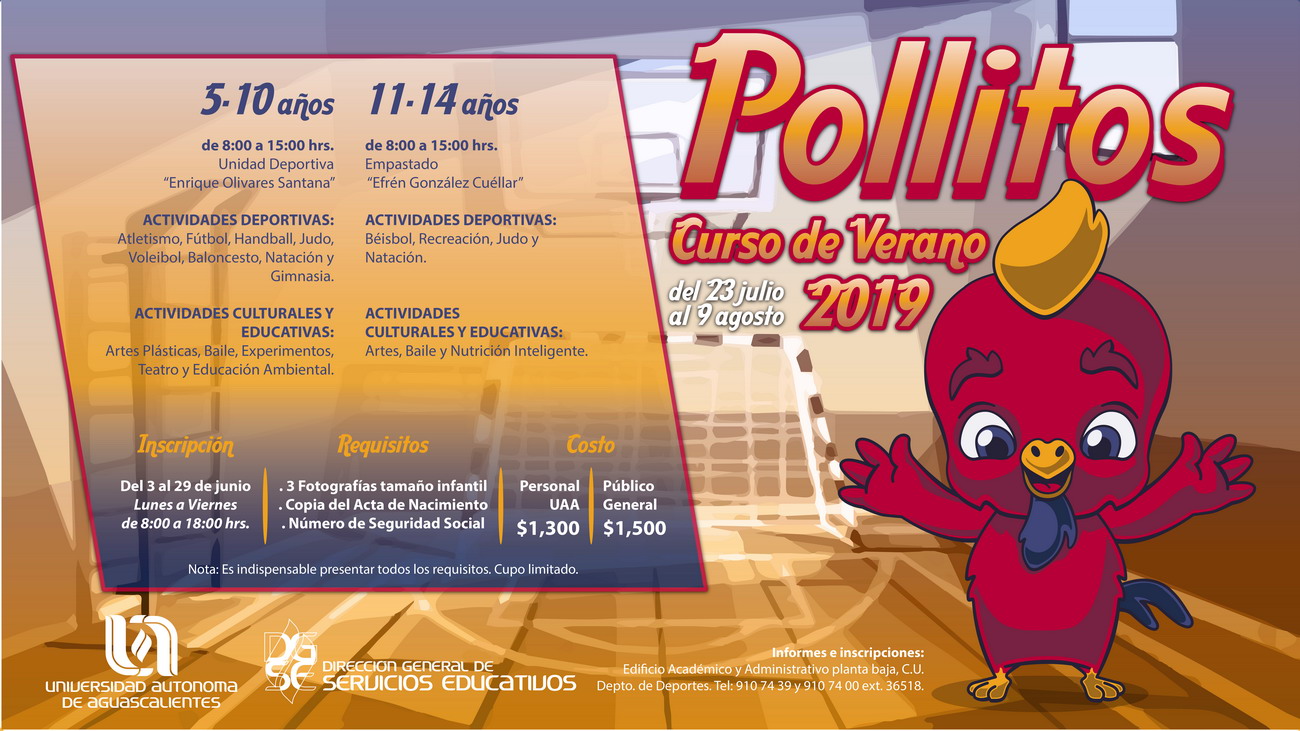 Pollitos – Curso de Verano 2019