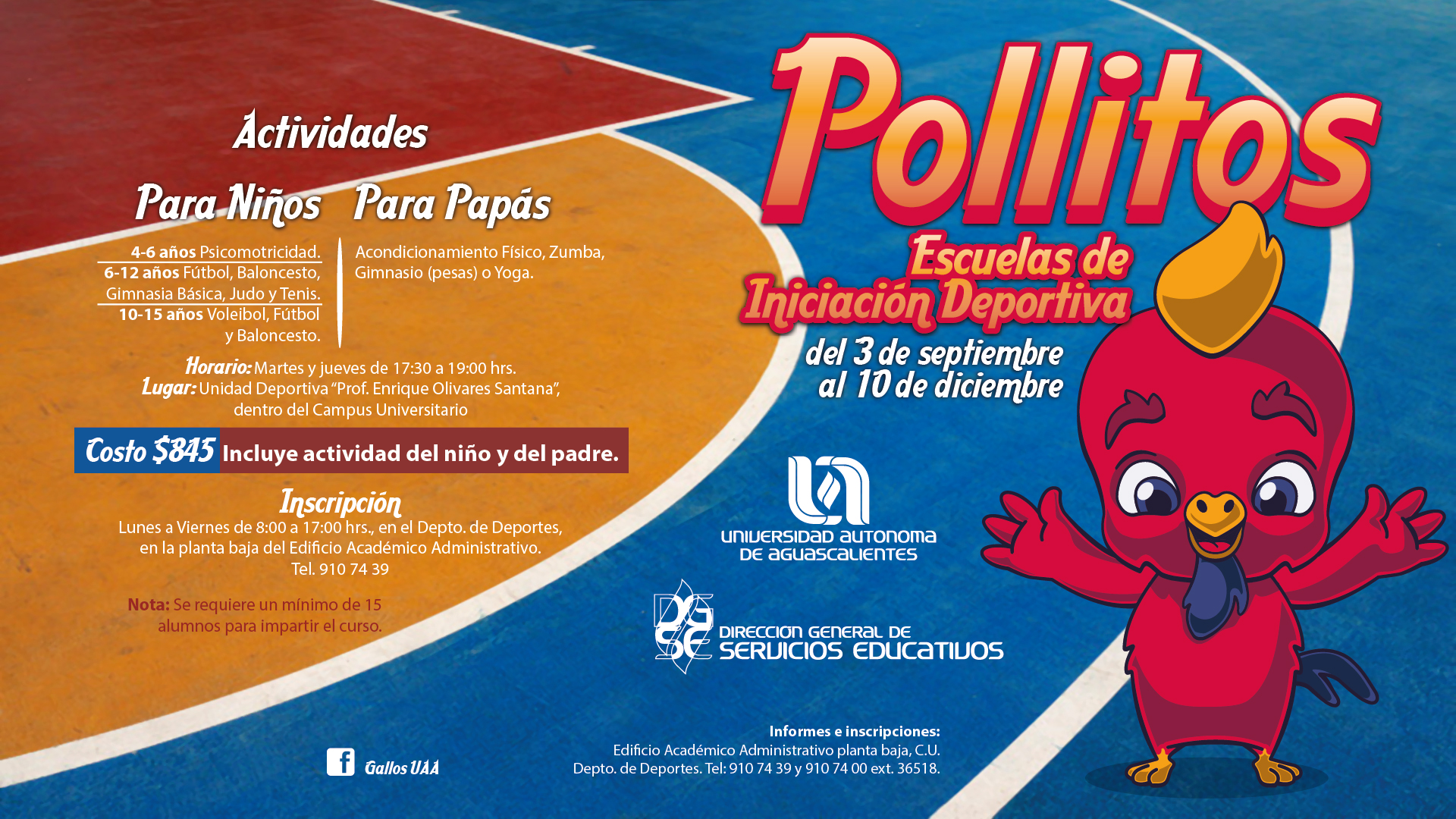 Pollitos/ Escuelas de Iniciación deportiva