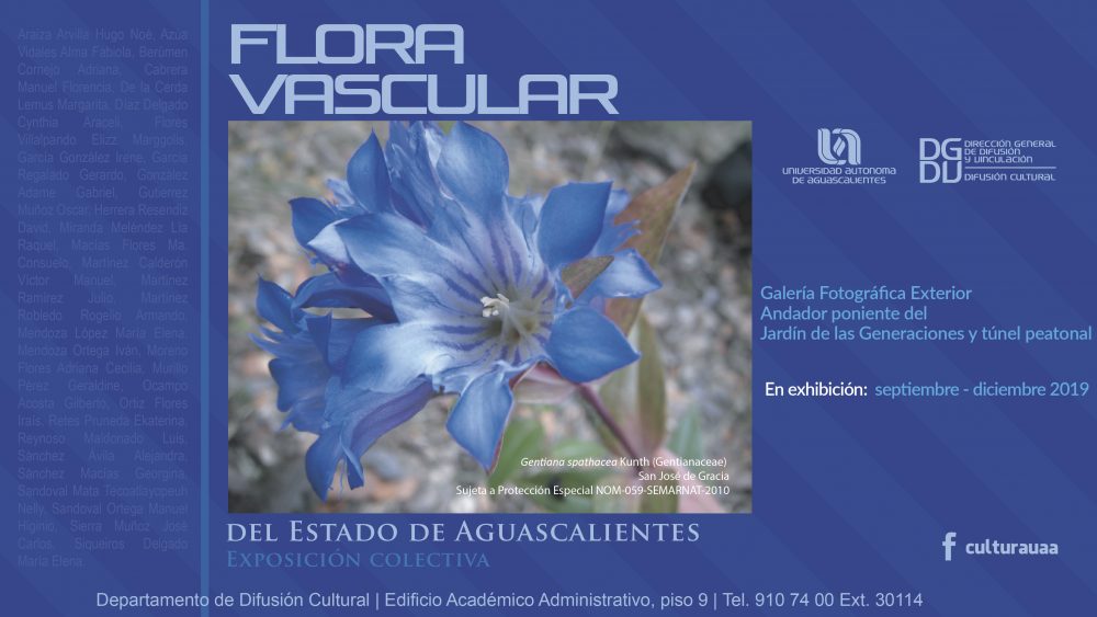 Galería Fotográfica Exterior – Flora Vascular