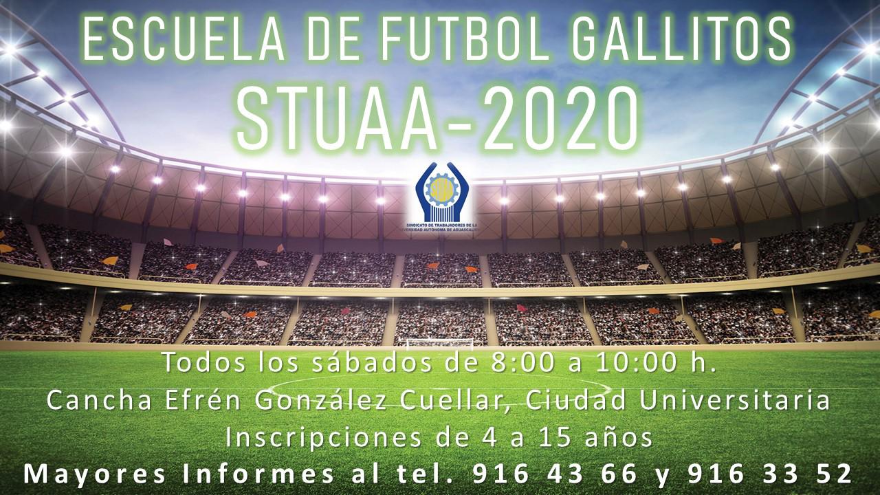 INVITACIÓN A LA ESCUELA DE FUTBOL GALLITOS STUAA