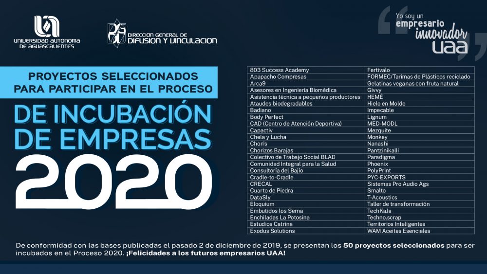 Proyectos Seleccionados – Proceso de Incubación de Empresas 2020