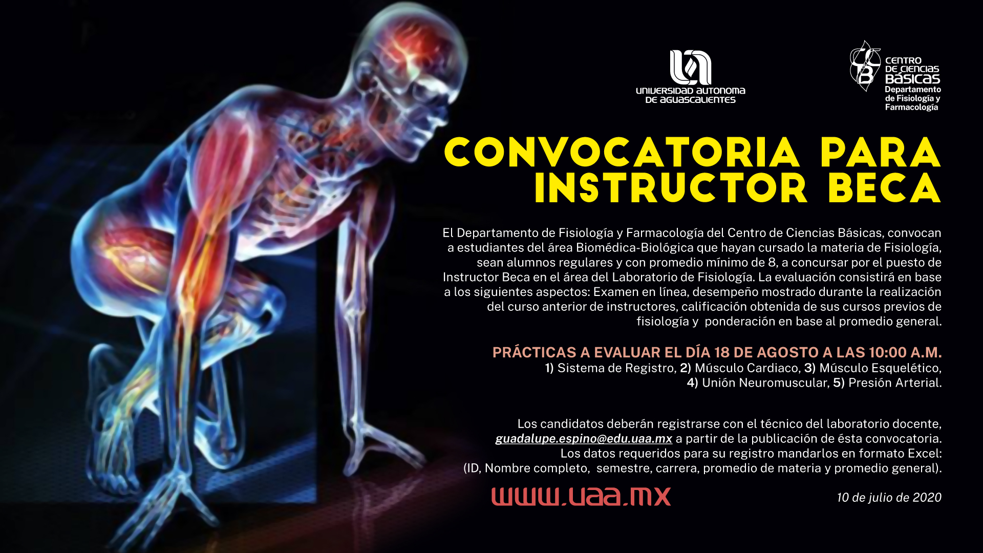 Convocatoria Para Instructor Beca Uaa Universidad Aut Noma De Aguascalientes Uaa