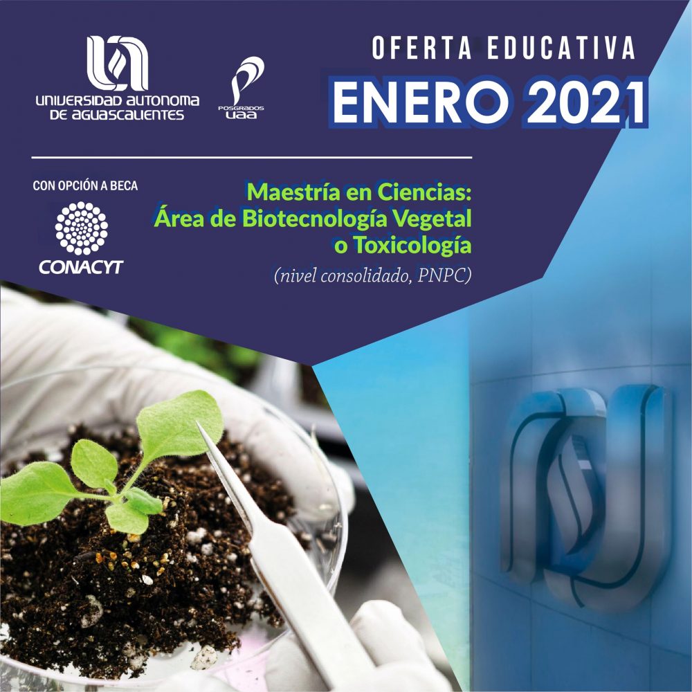 Maestría en Ciencias Área de Biotecnología Vegetal o Toxicología (PNPC)