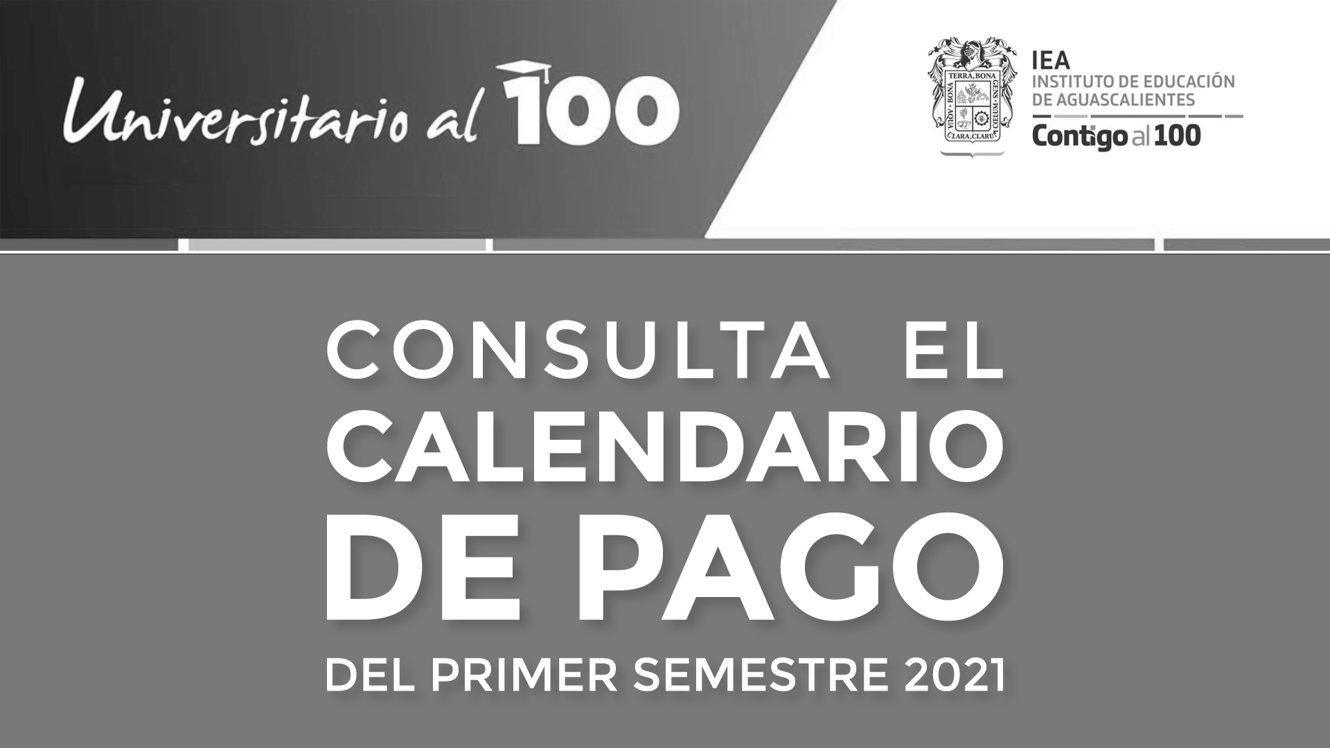 Universitarios al 100