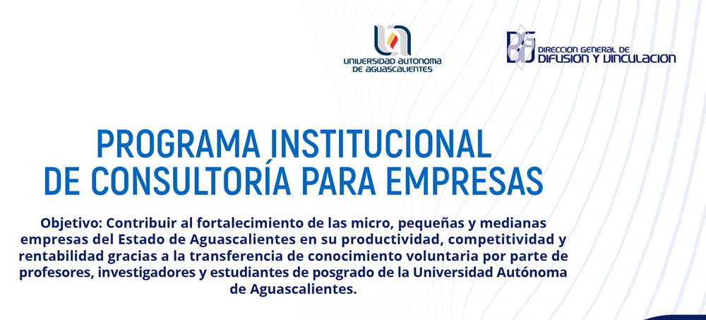 PROGRAMA DE CONSULTORÍA PARA EMPRESAS