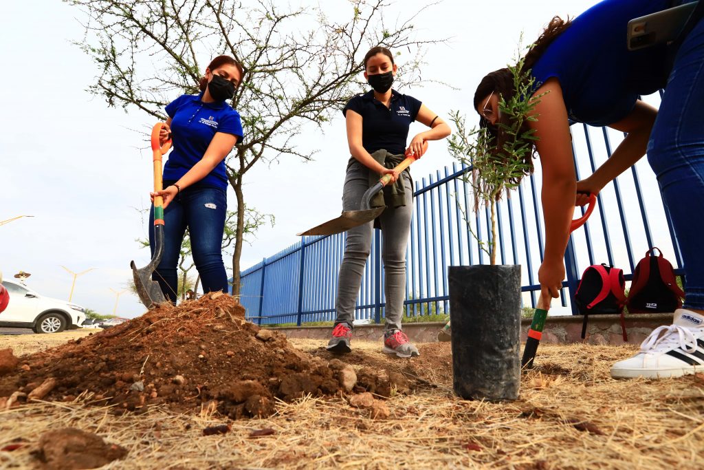 Estudiantes de la UAA llevan a cabo proyecto de forestación en el Campus Sur