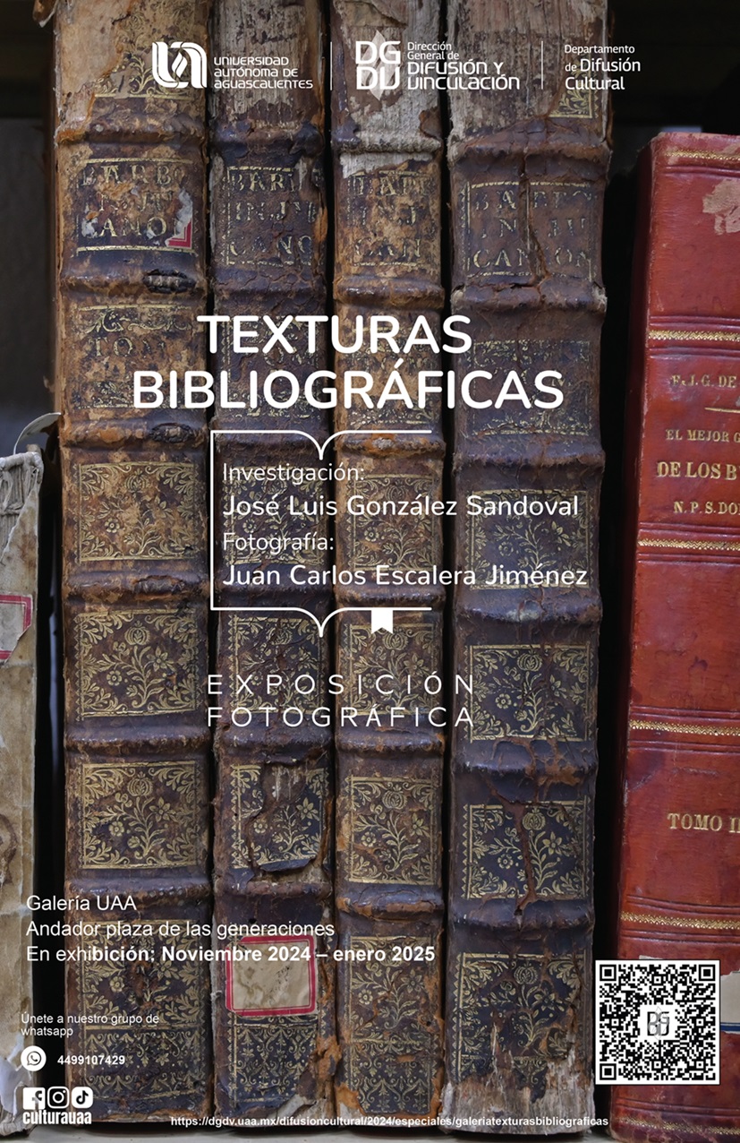 Galería – Texturas Bibliográficas