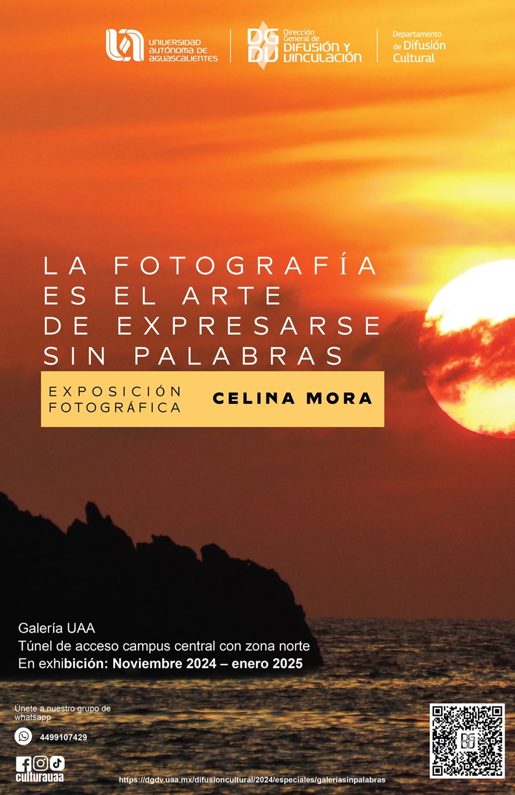 Galería – La fotografía es el arte de expresarse sin palabras